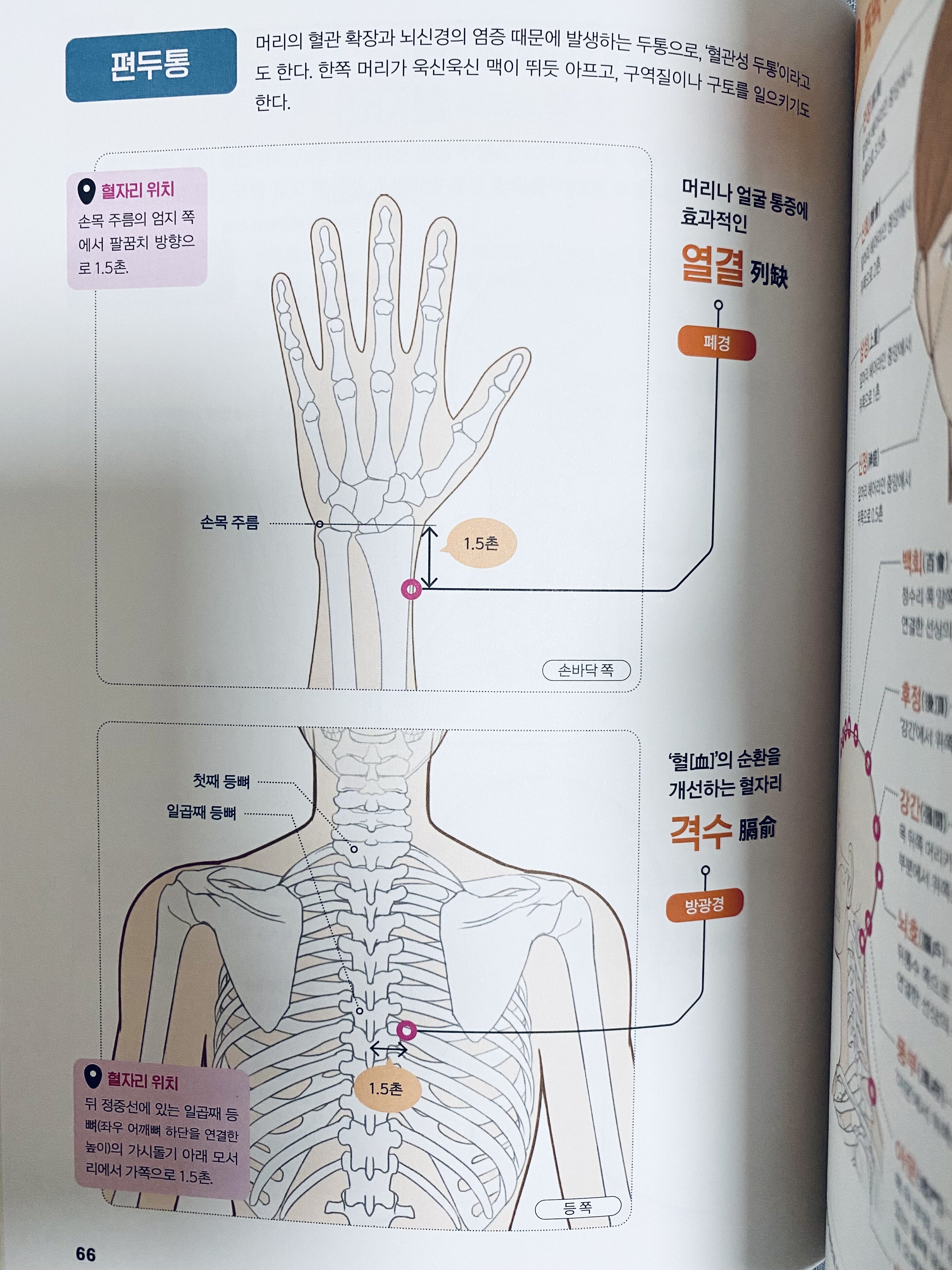 컨텐츠 이미지