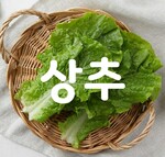 대표사진