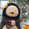 대표사진