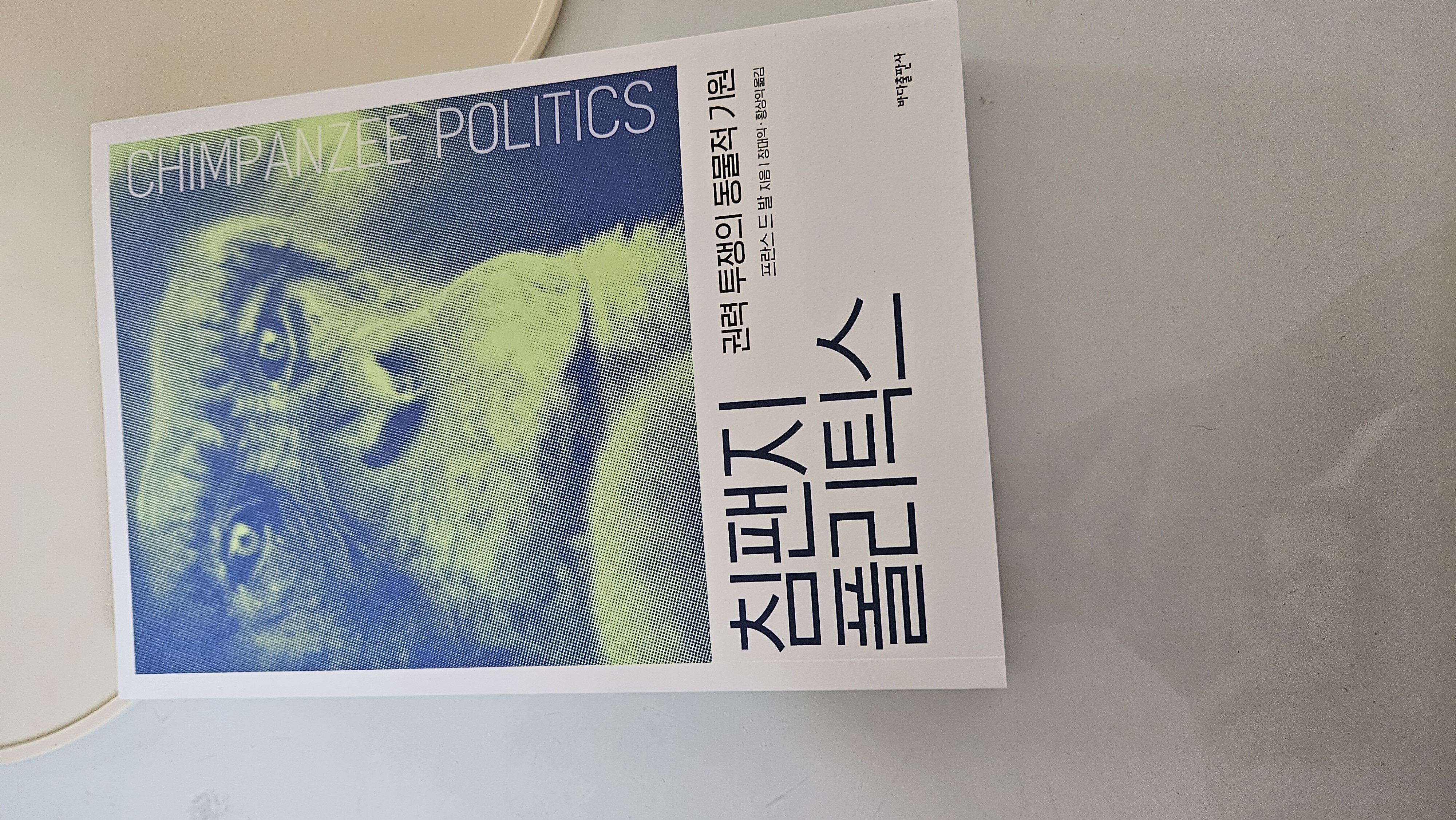 컨텐츠 이미지