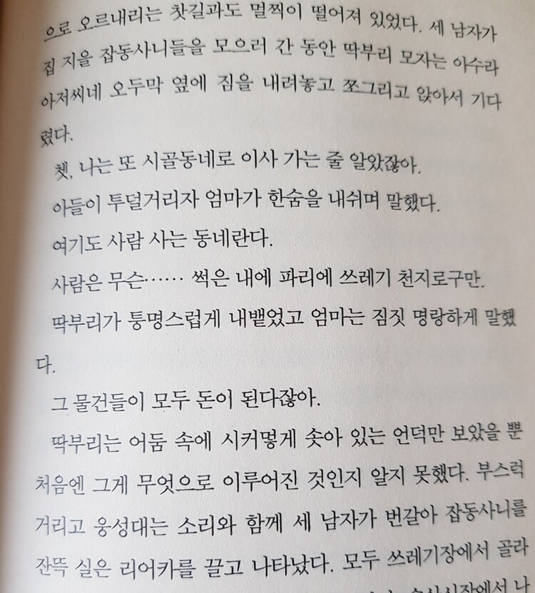 컨텐츠 이미지