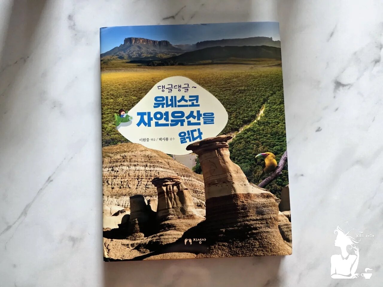 첨부된 사진