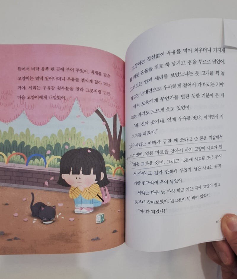 첨부된 사진