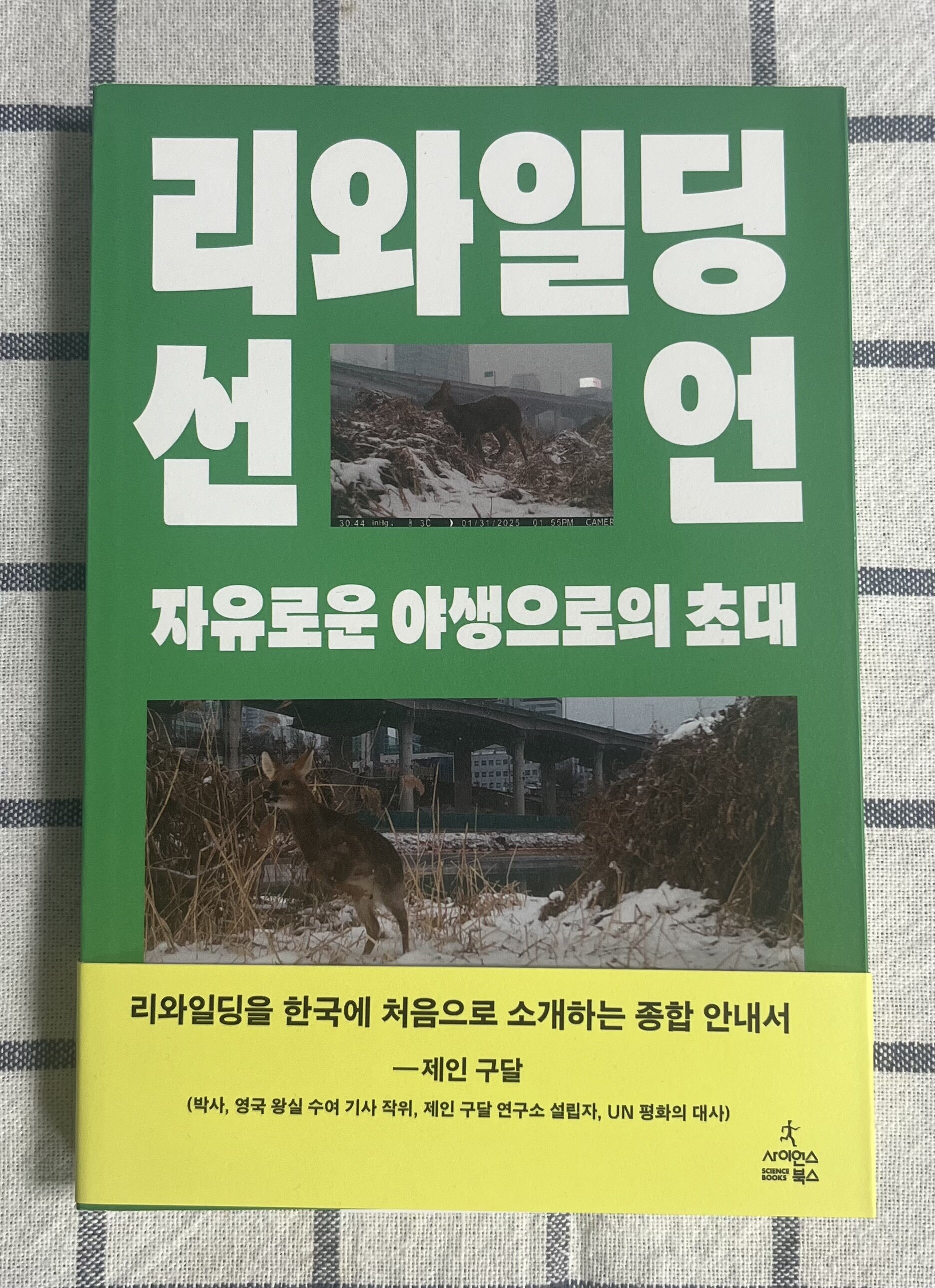 첨부된 사진