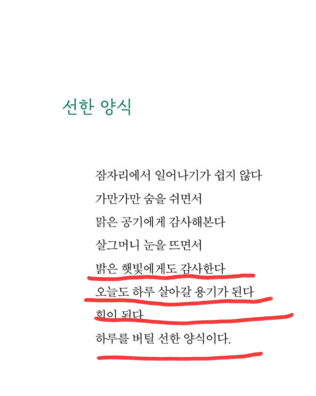 컨텐츠 이미지