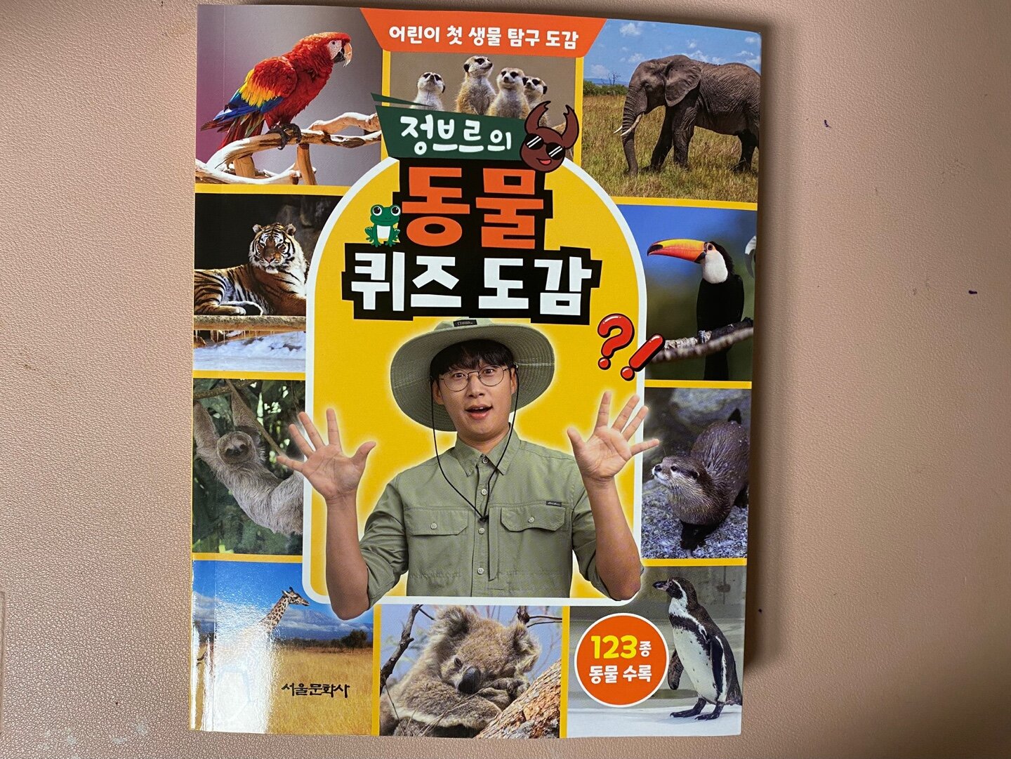 첨부된 사진