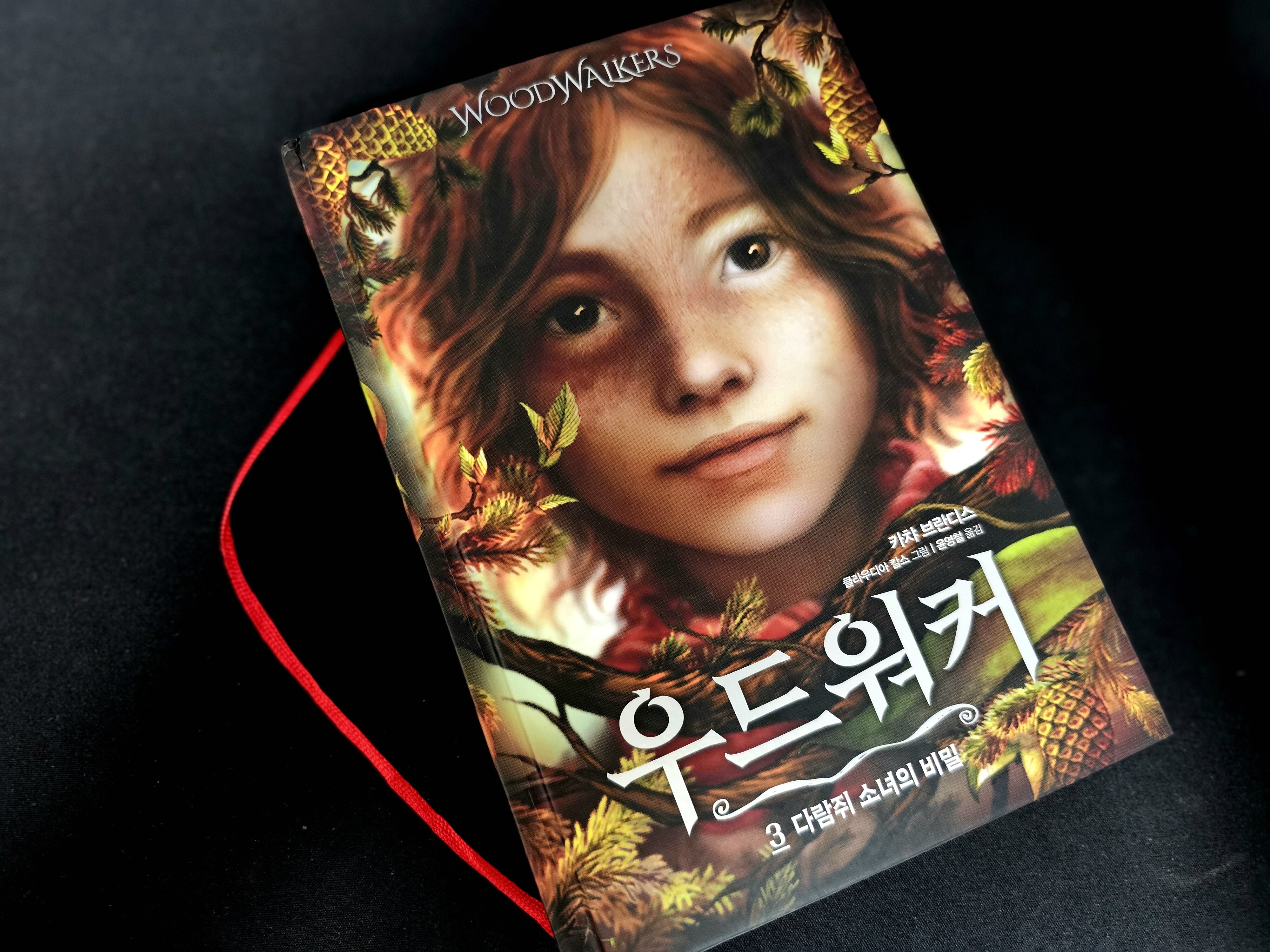 첨부된 사진