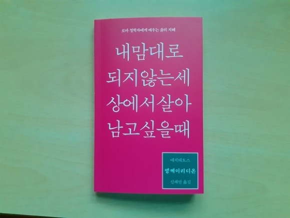 컨텐츠 이미지