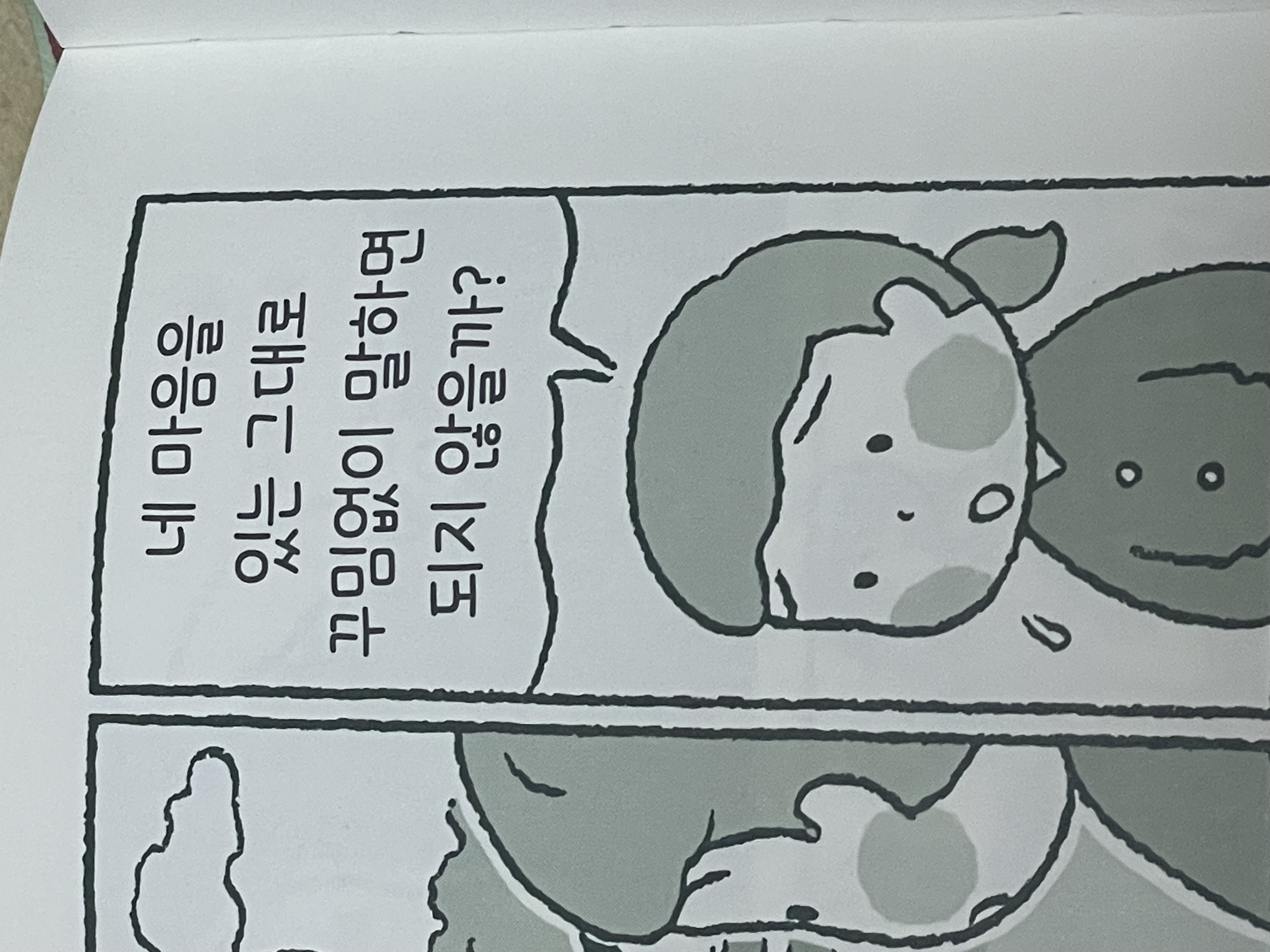 첨부된 사진