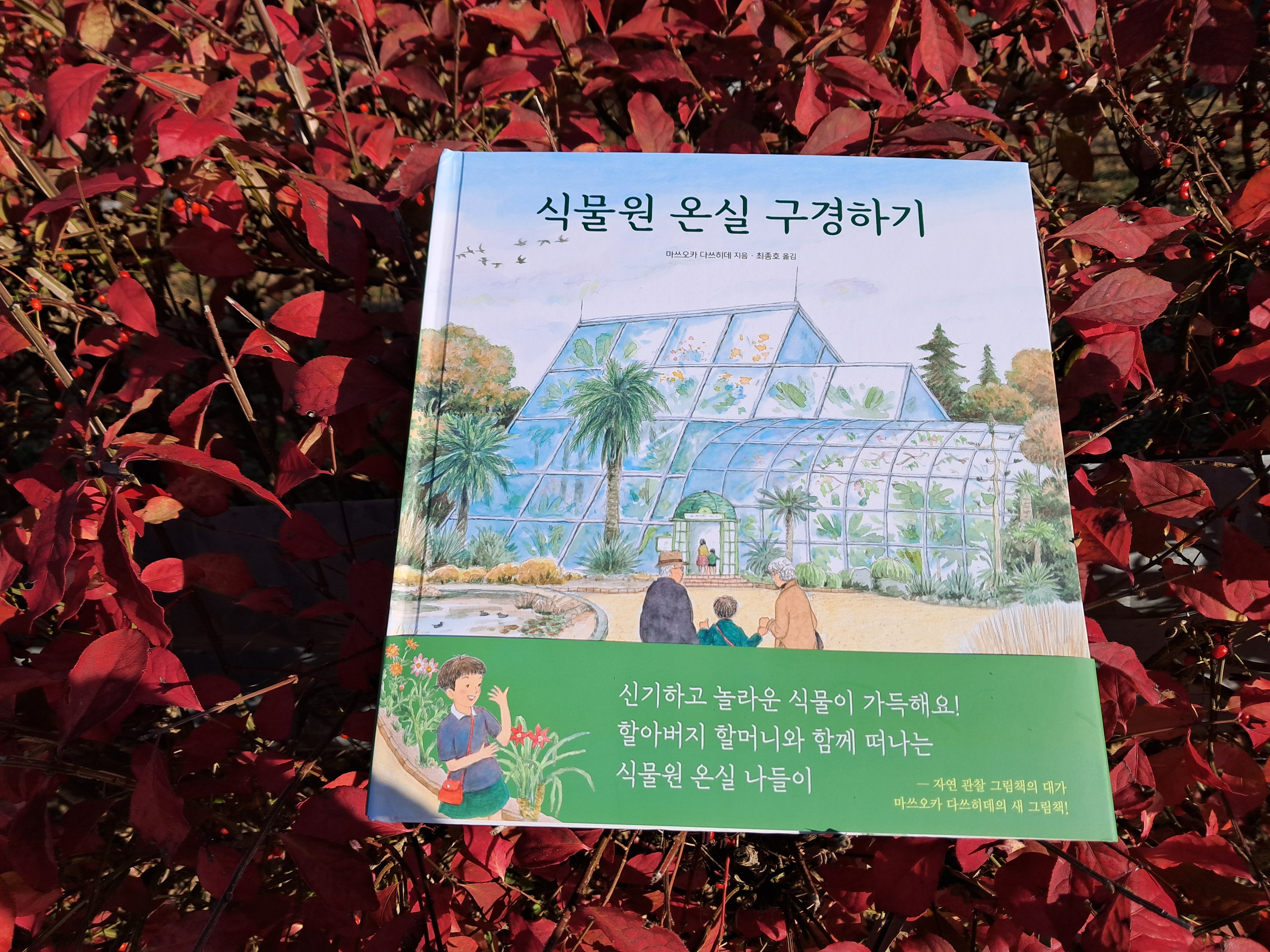 첨부된 사진