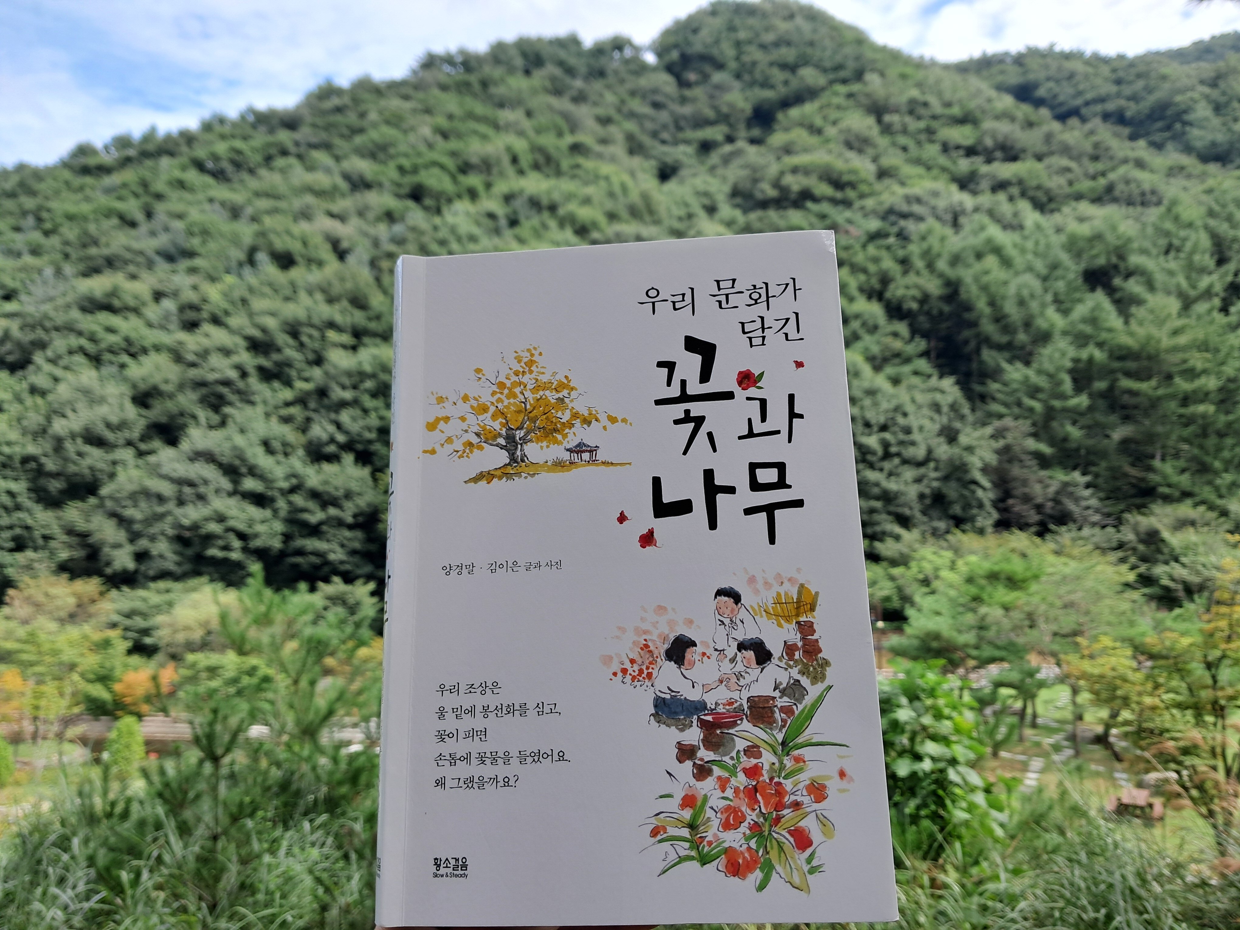 첨부된 사진
