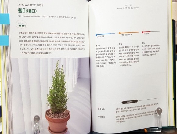 식물과 같이 살고 있습니다 도서 리뷰 : 식물과 함께 살아보겠습니다 | Yes24 블로그