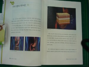 첨부된 사진