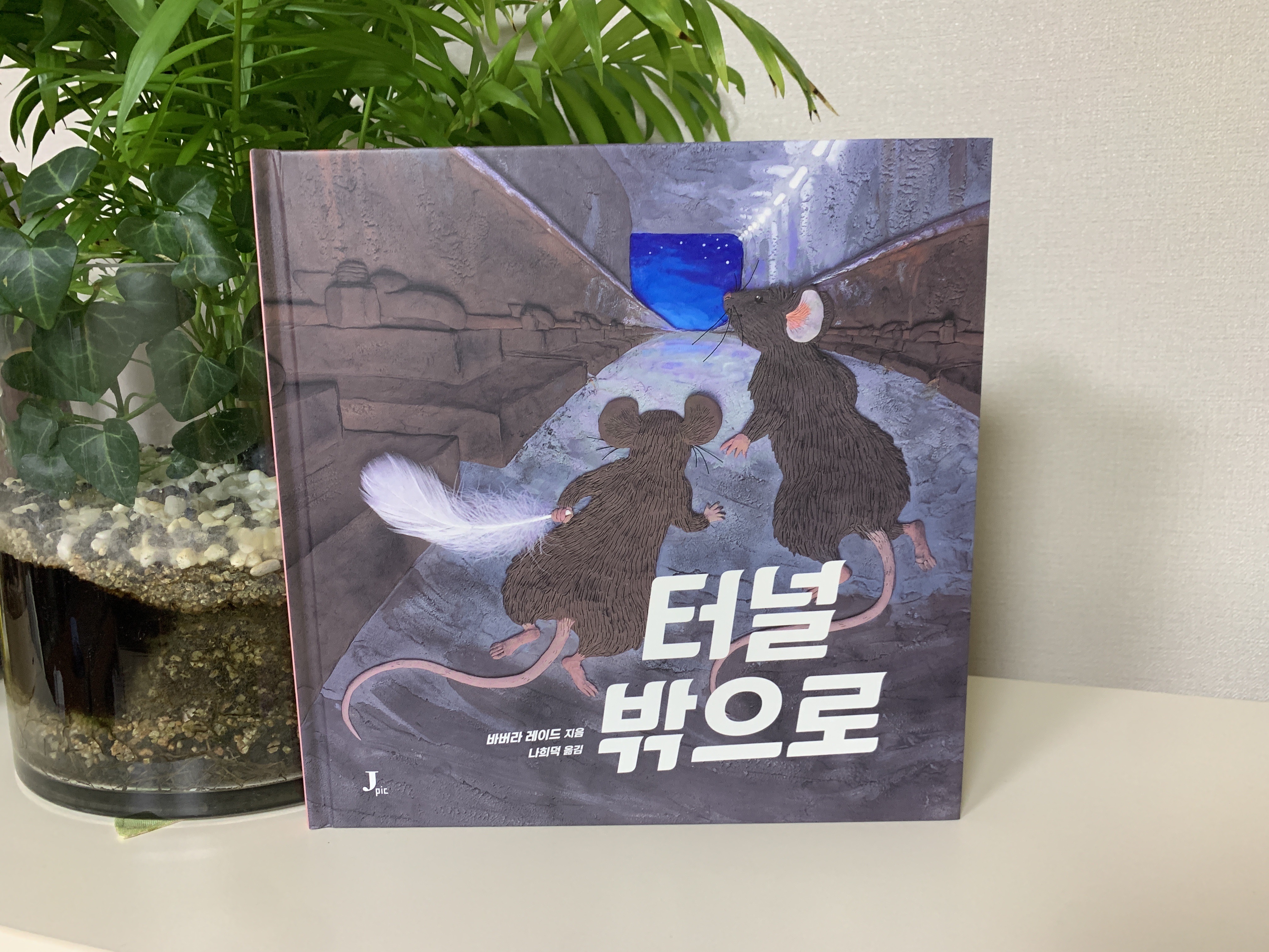 첨부된 사진