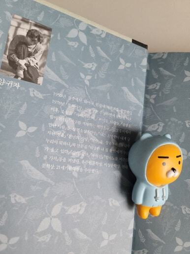 컨텐츠 이미지