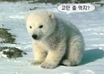 대표사진
