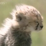 대표사진
