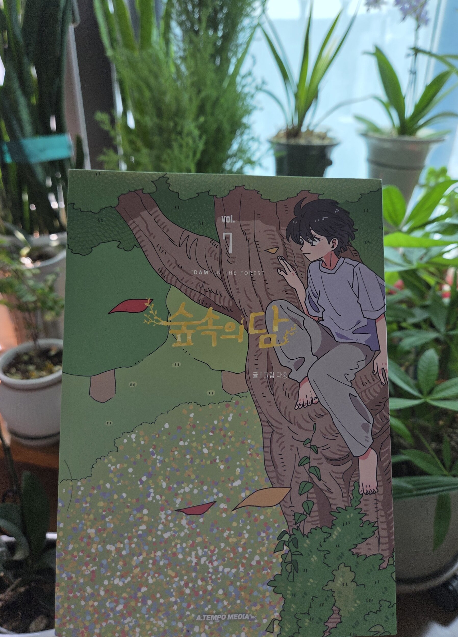 첨부된 사진