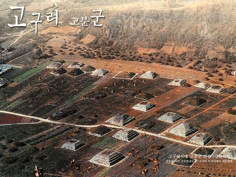 대표사진