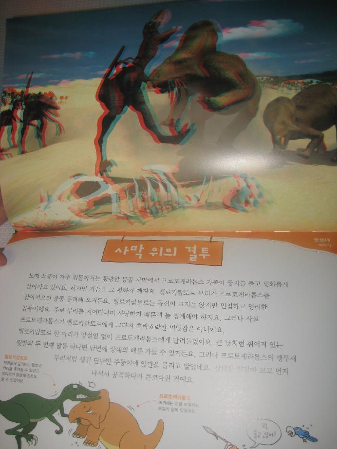 첨부된 사진