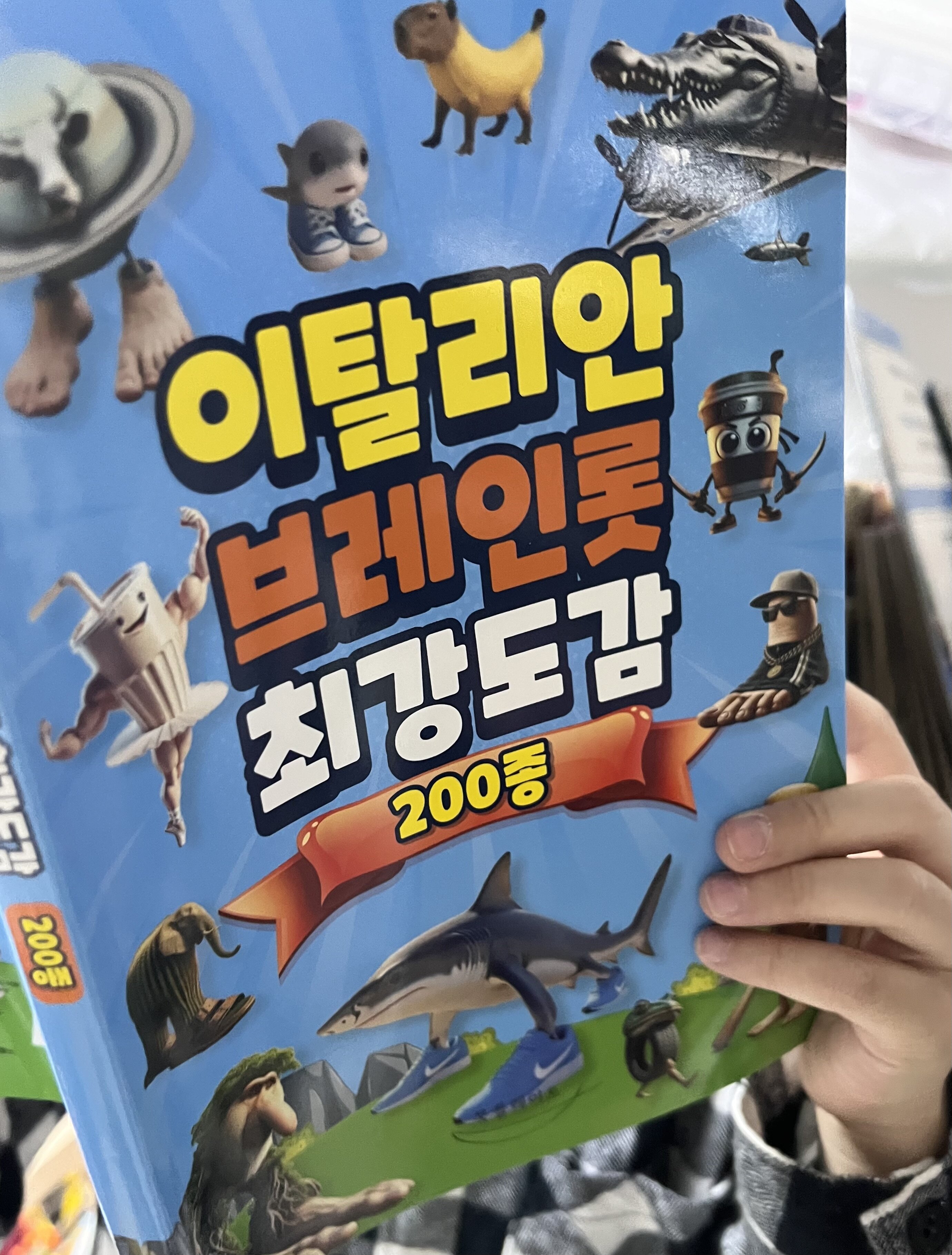 첨부된 사진