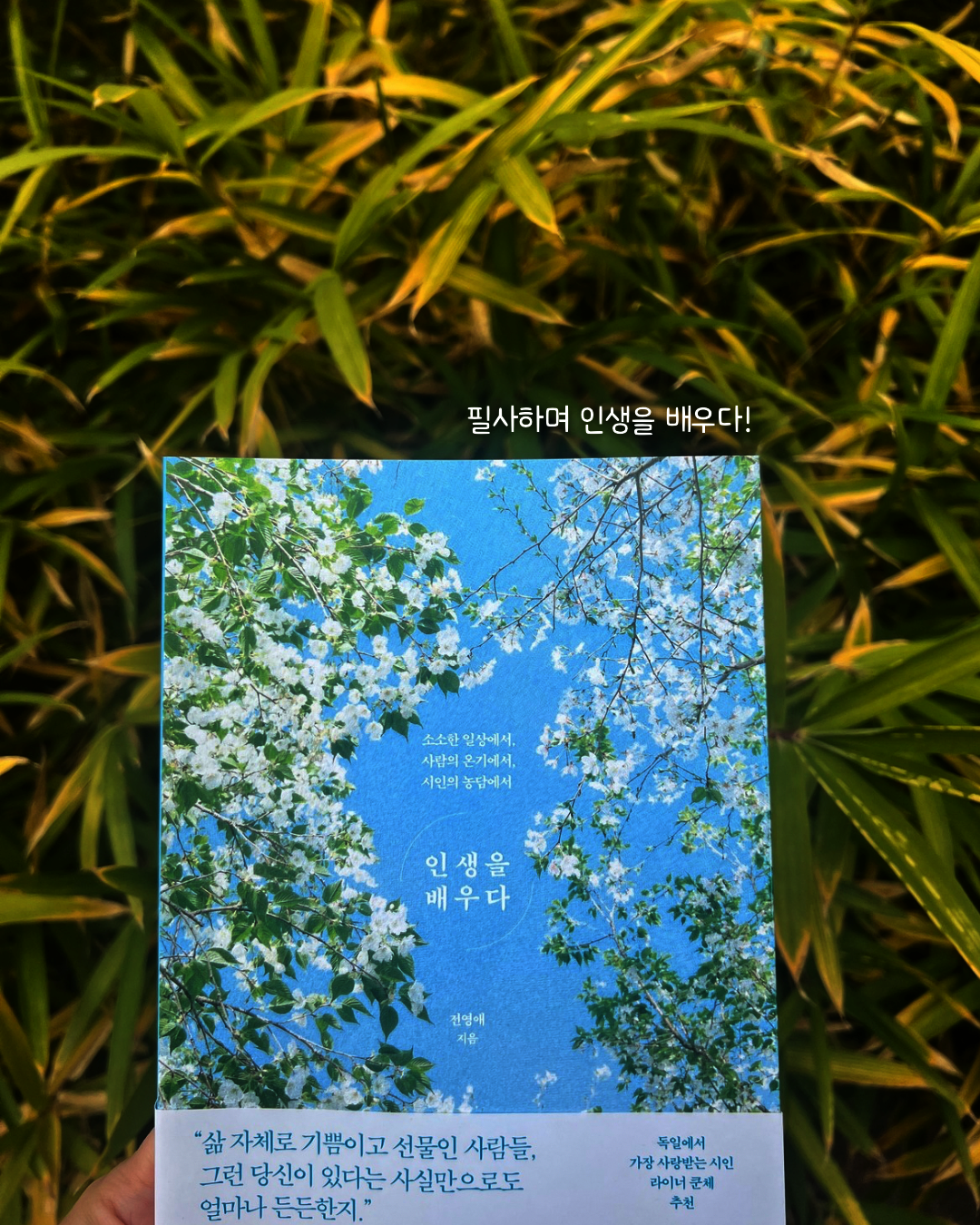 ์ฒจ๋ถ๋ ์ฌ์ง