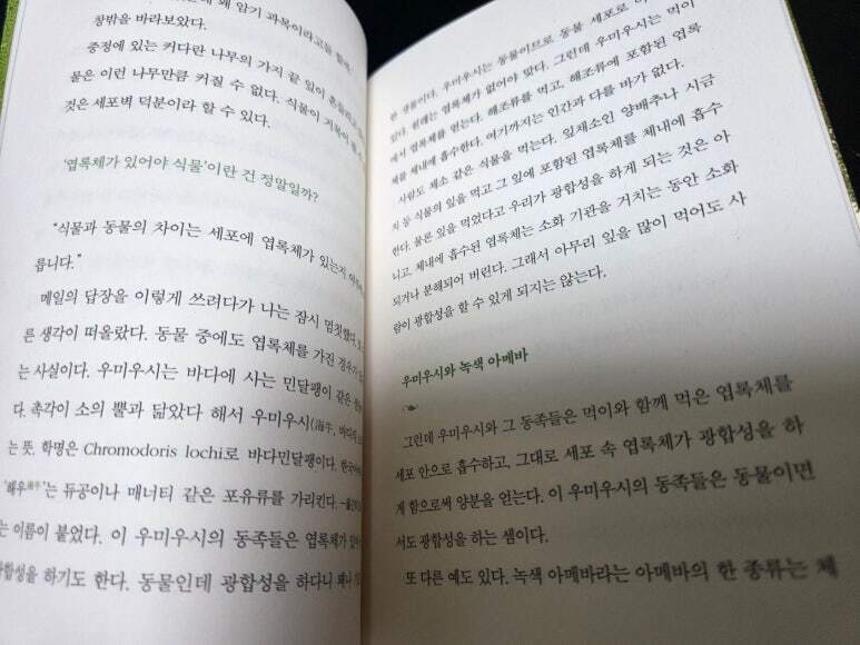 첨부된 사진