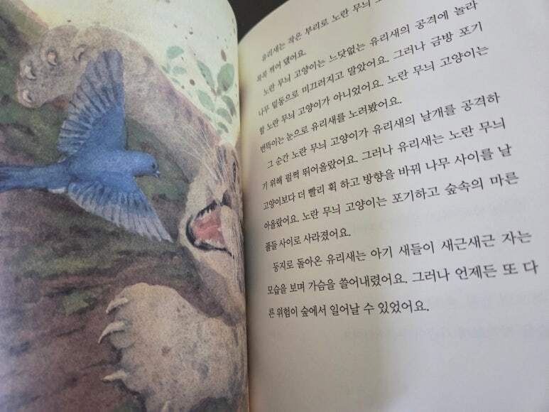 첨부된 사진
