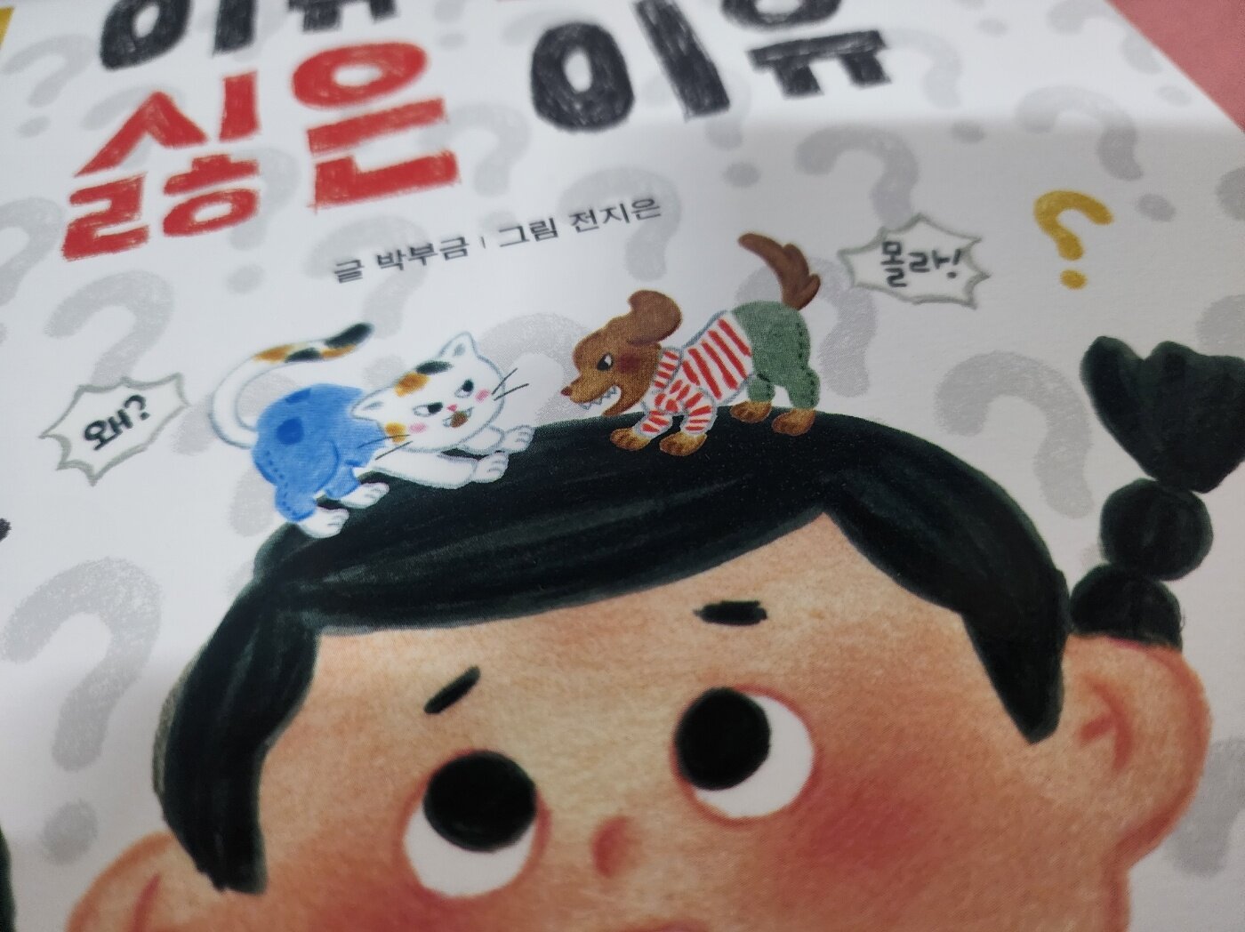 첨부된 사진