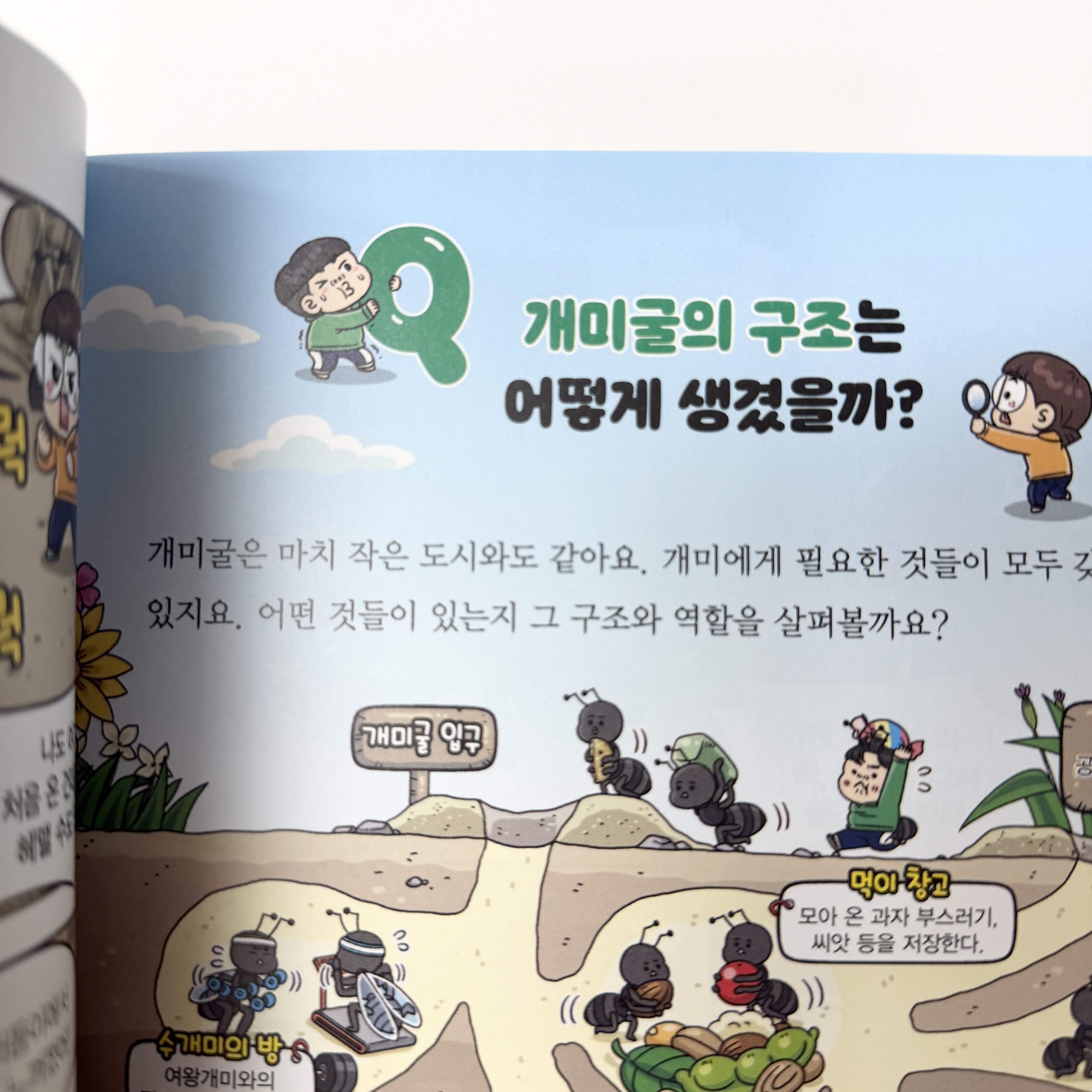 첨부된 사진