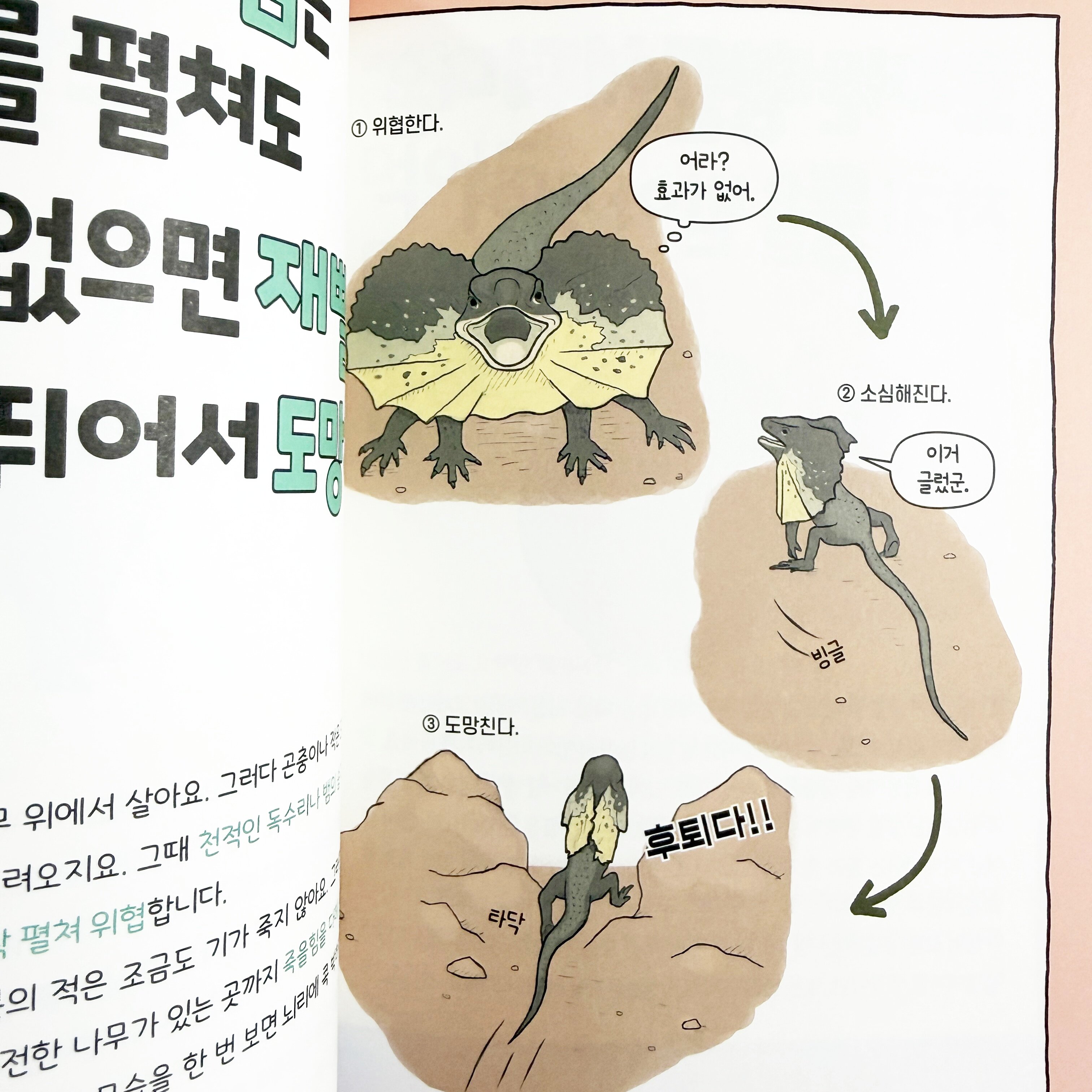 첨부된 사진