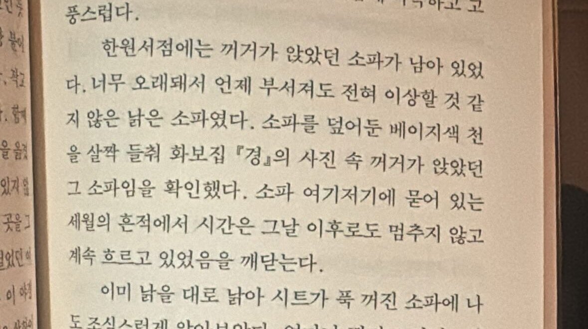 컨텐츠 이미지