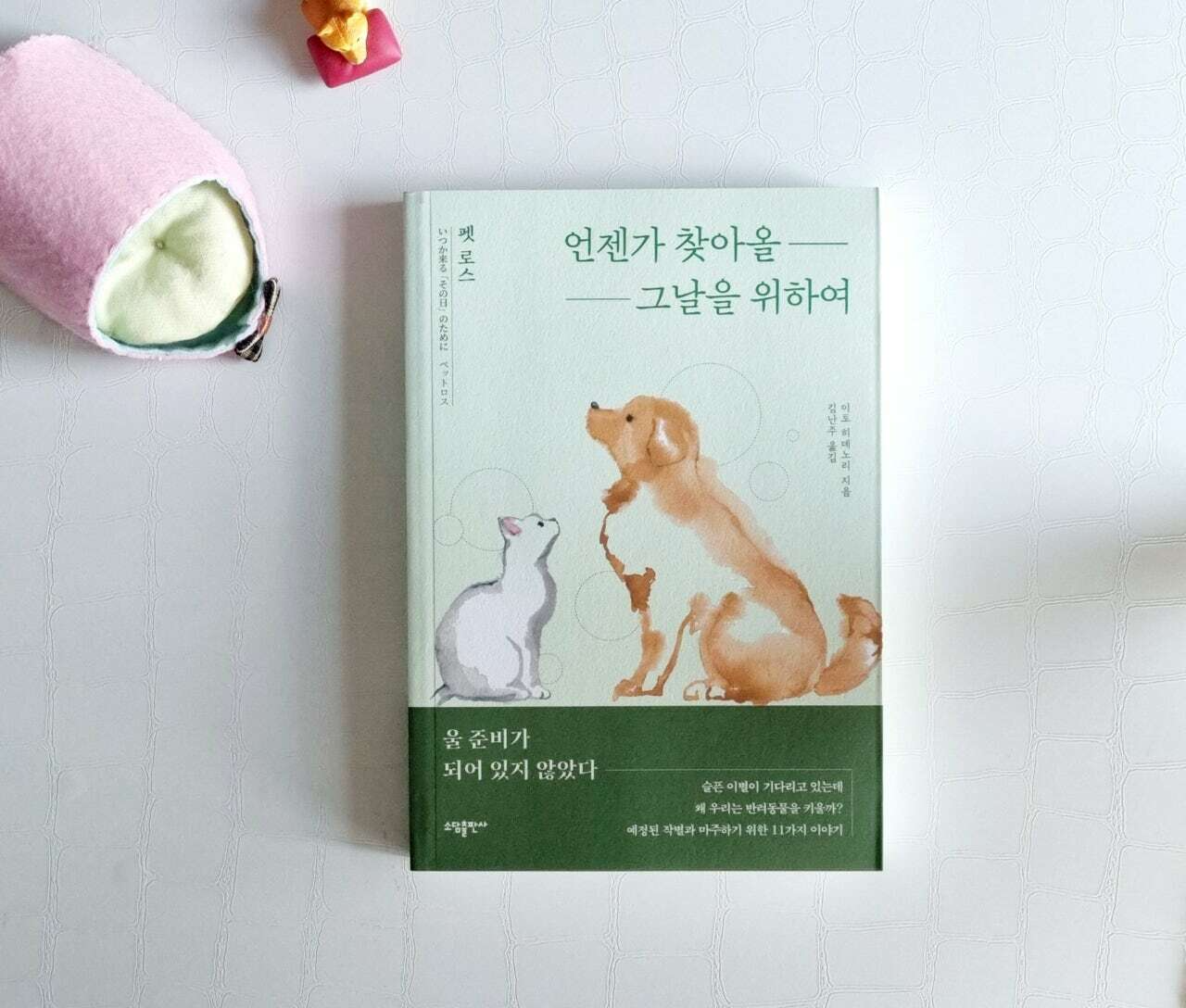 첨부된 사진