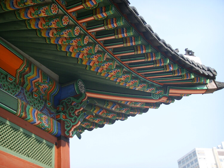 대표사진