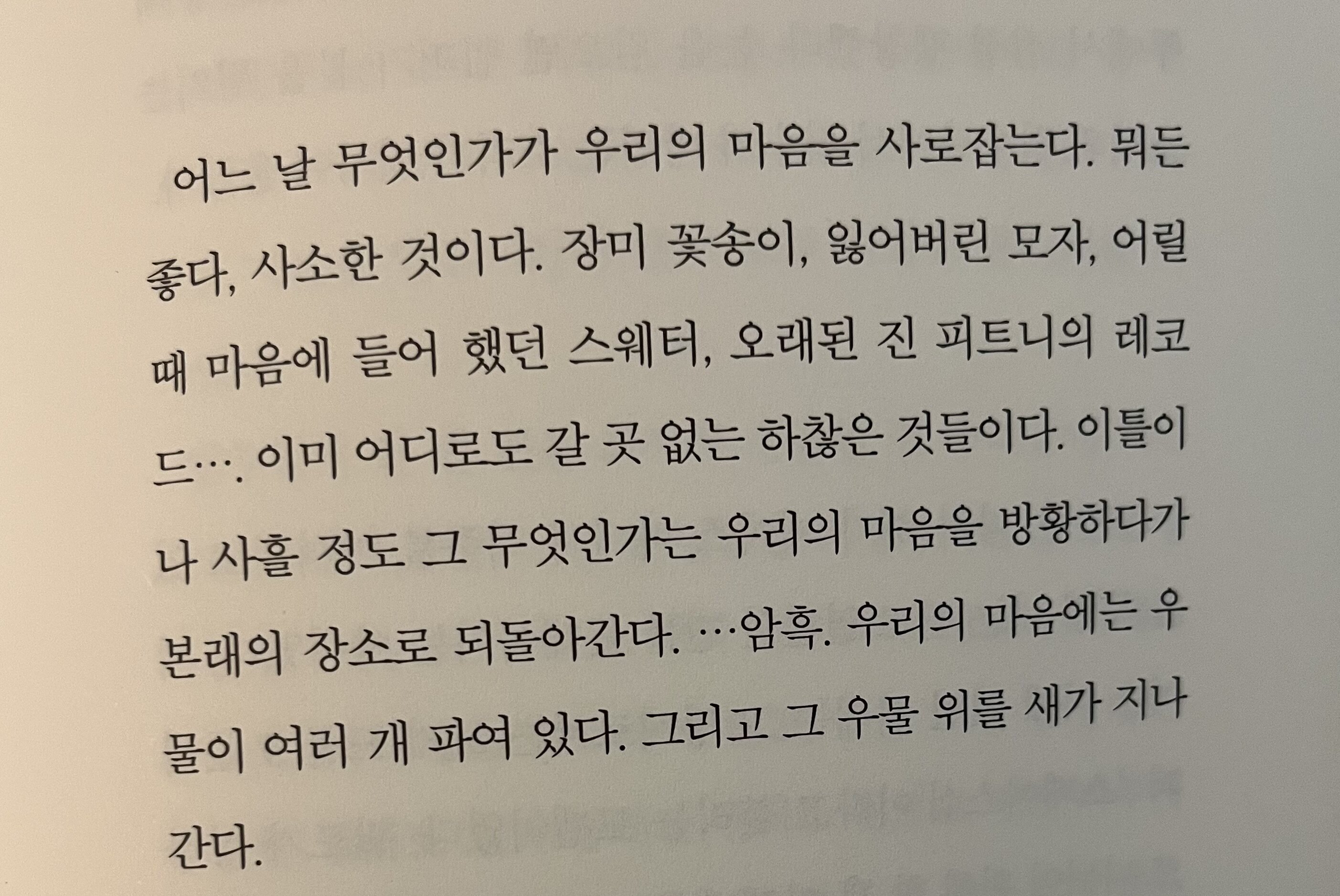 컨텐츠 이미지