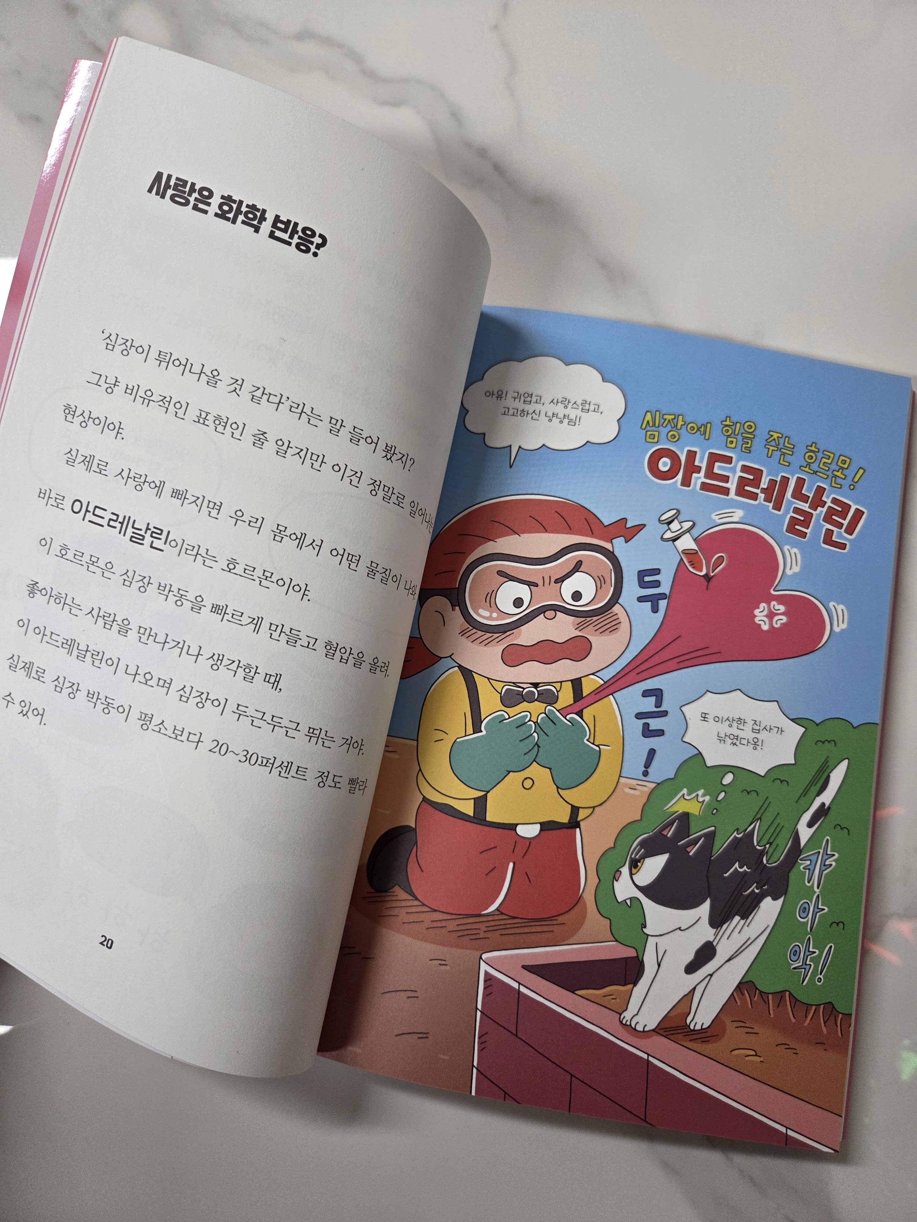 첨부된 사진