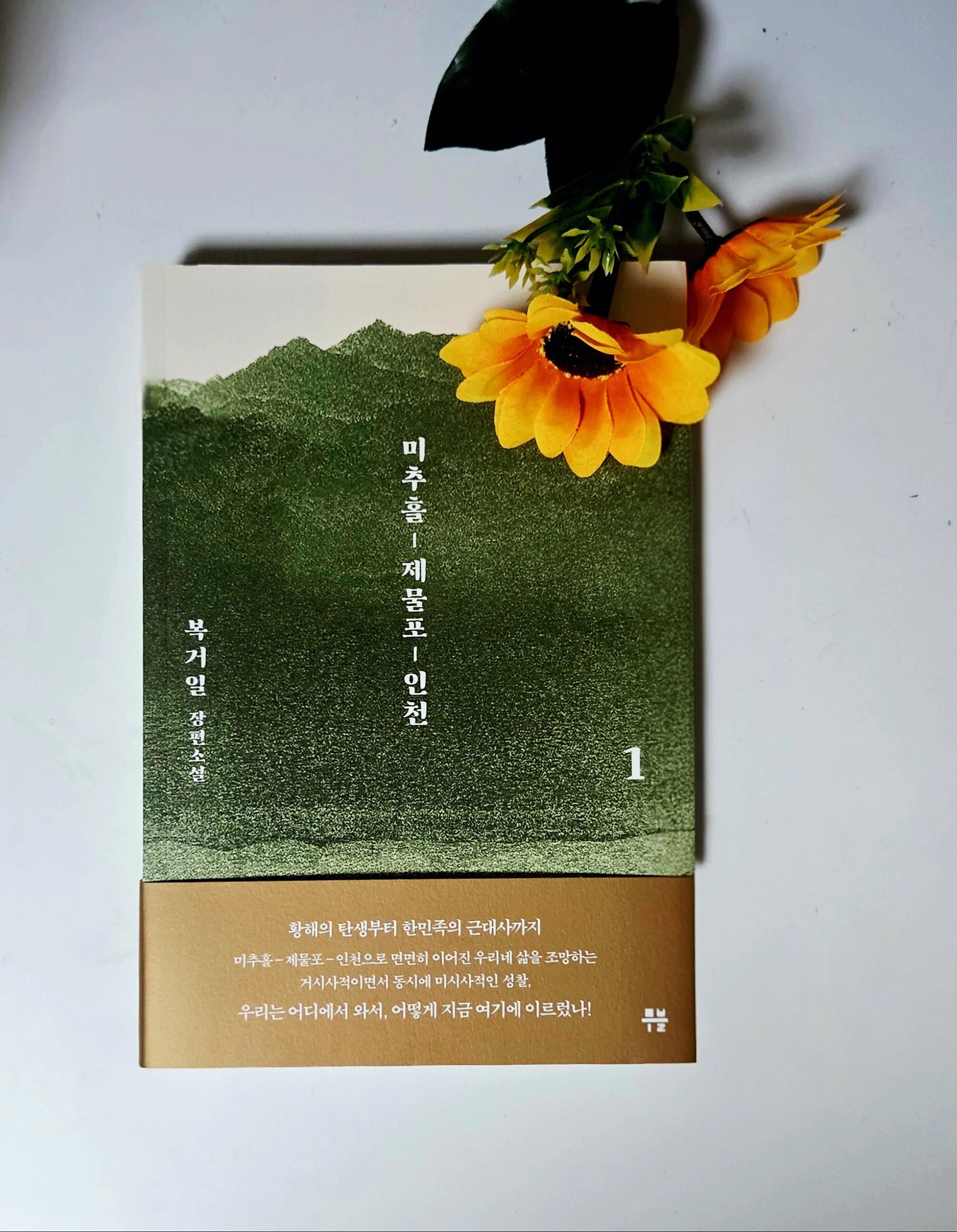 첨부된 사진