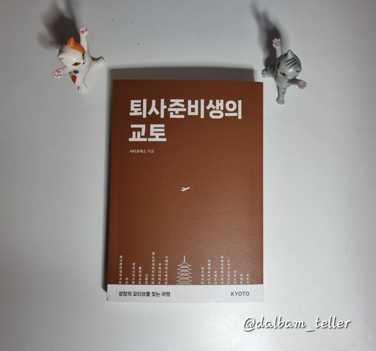 컨텐츠 이미지