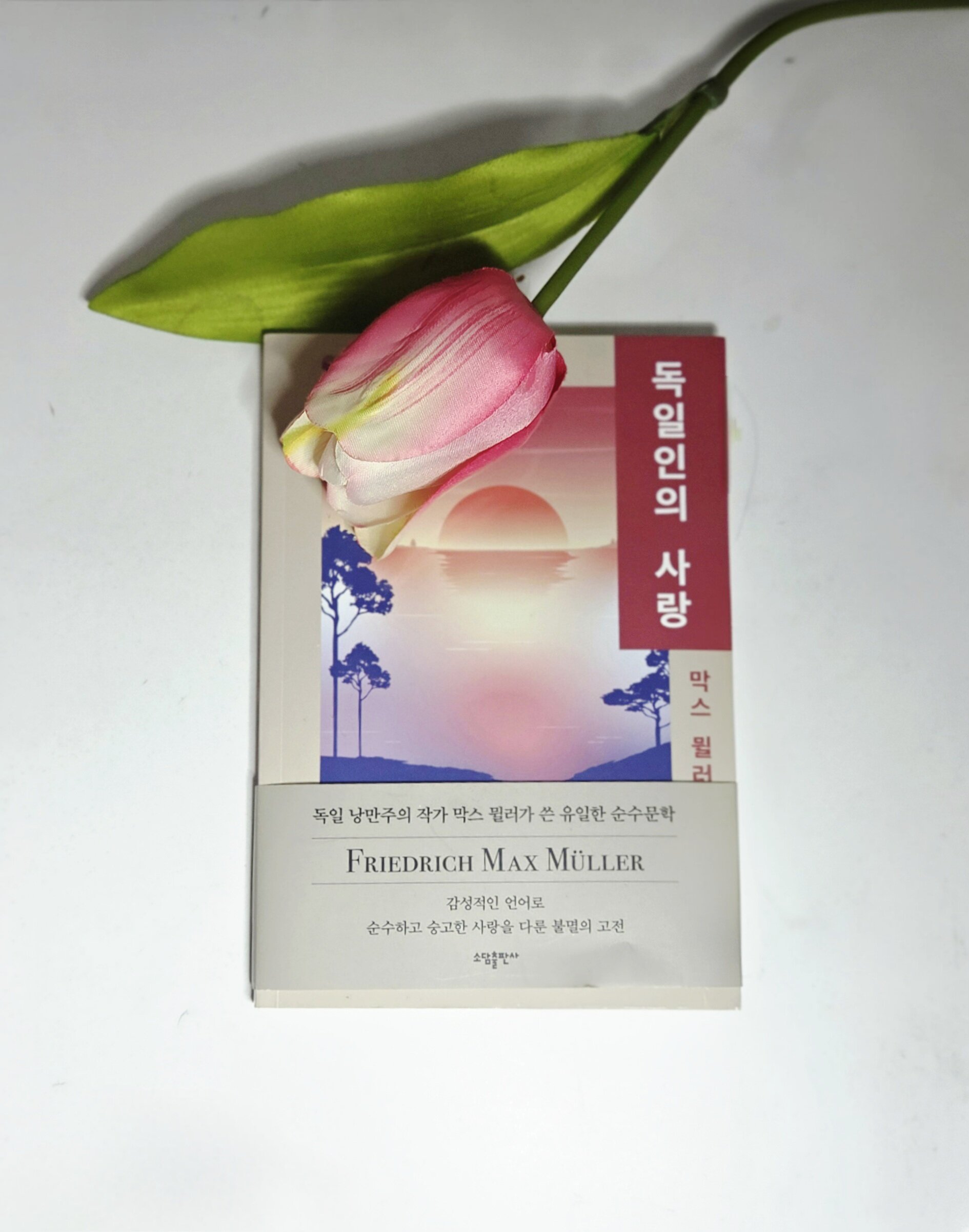 첨부된 사진