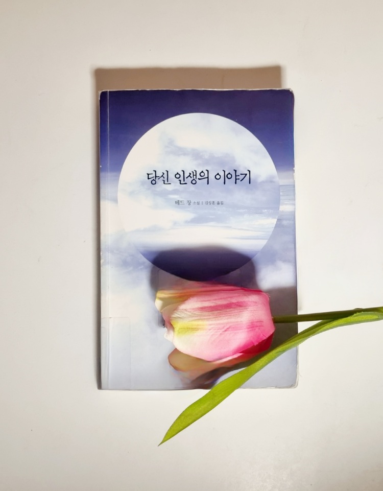 컨텐츠 이미지