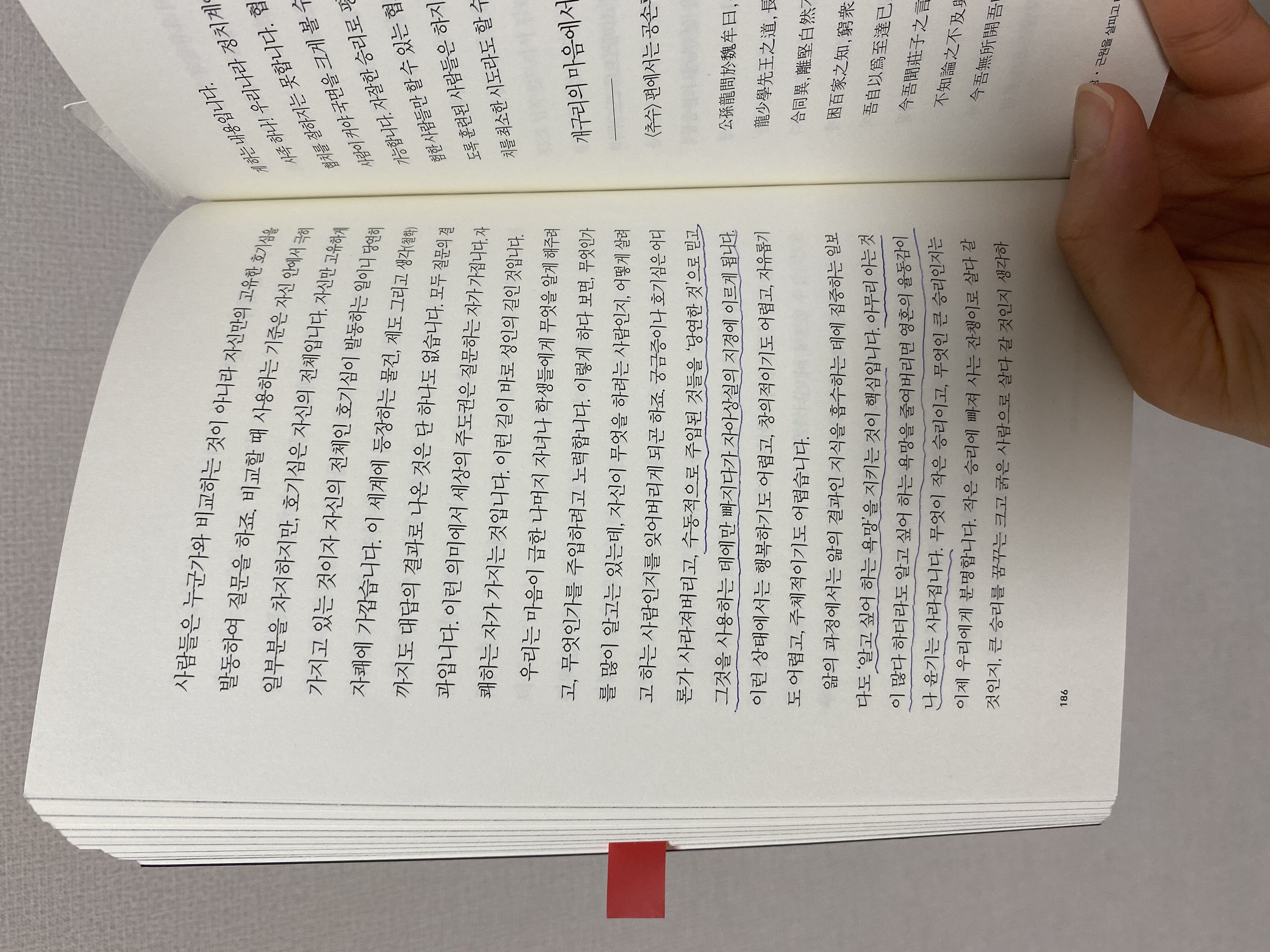 컨텐츠 이미지