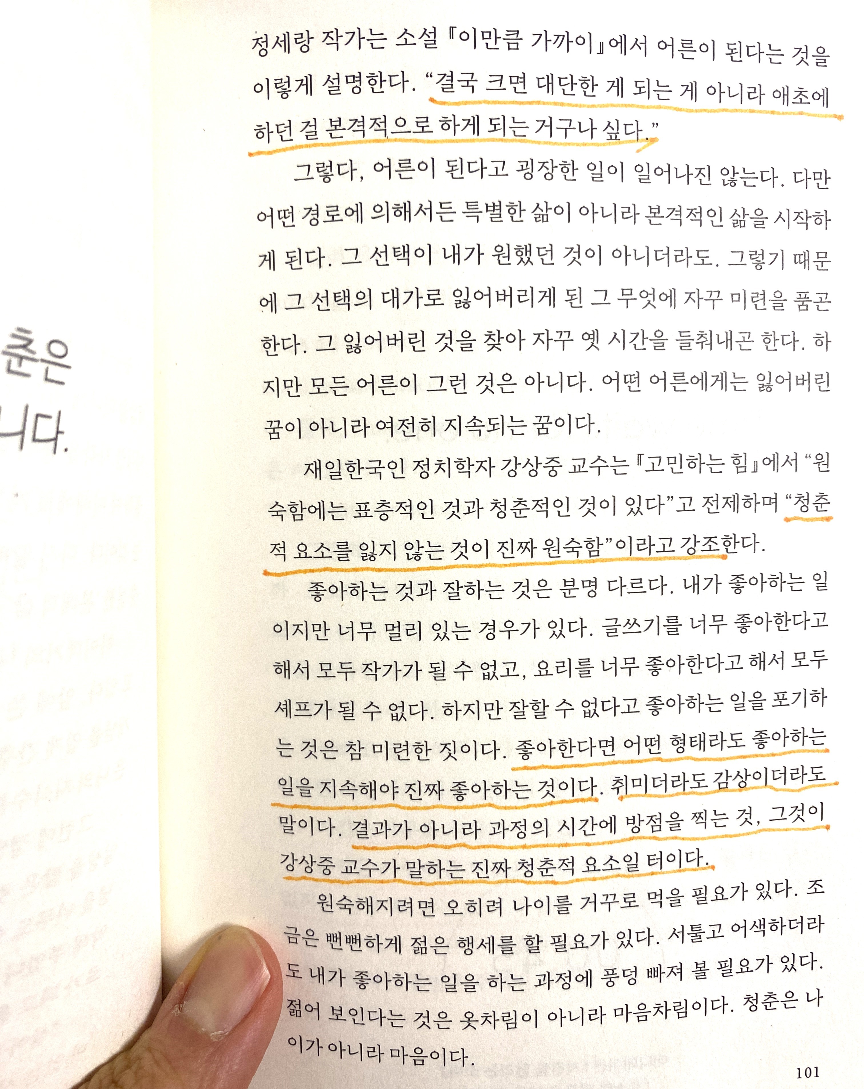 컨텐츠 이미지