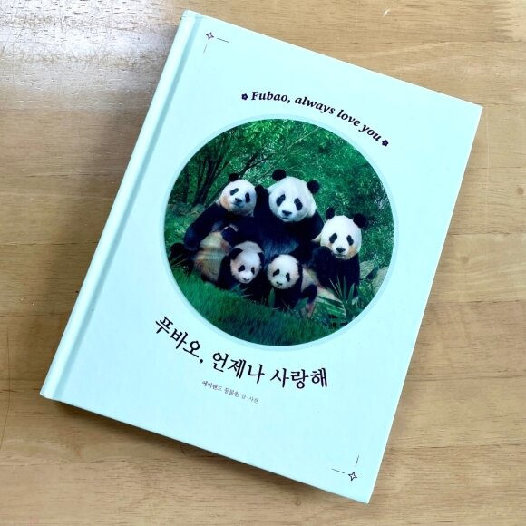 첨부된 사진