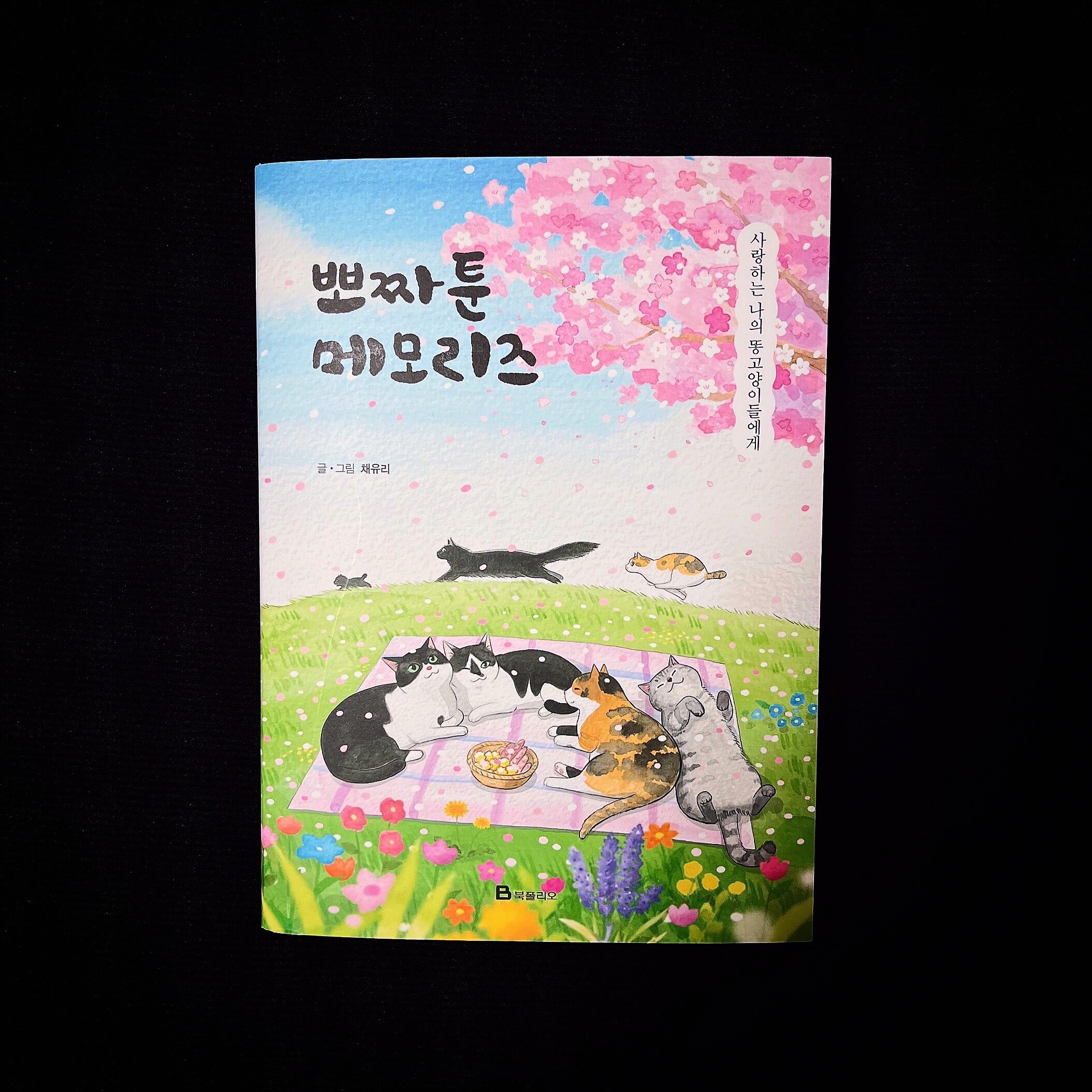 첨부된 사진