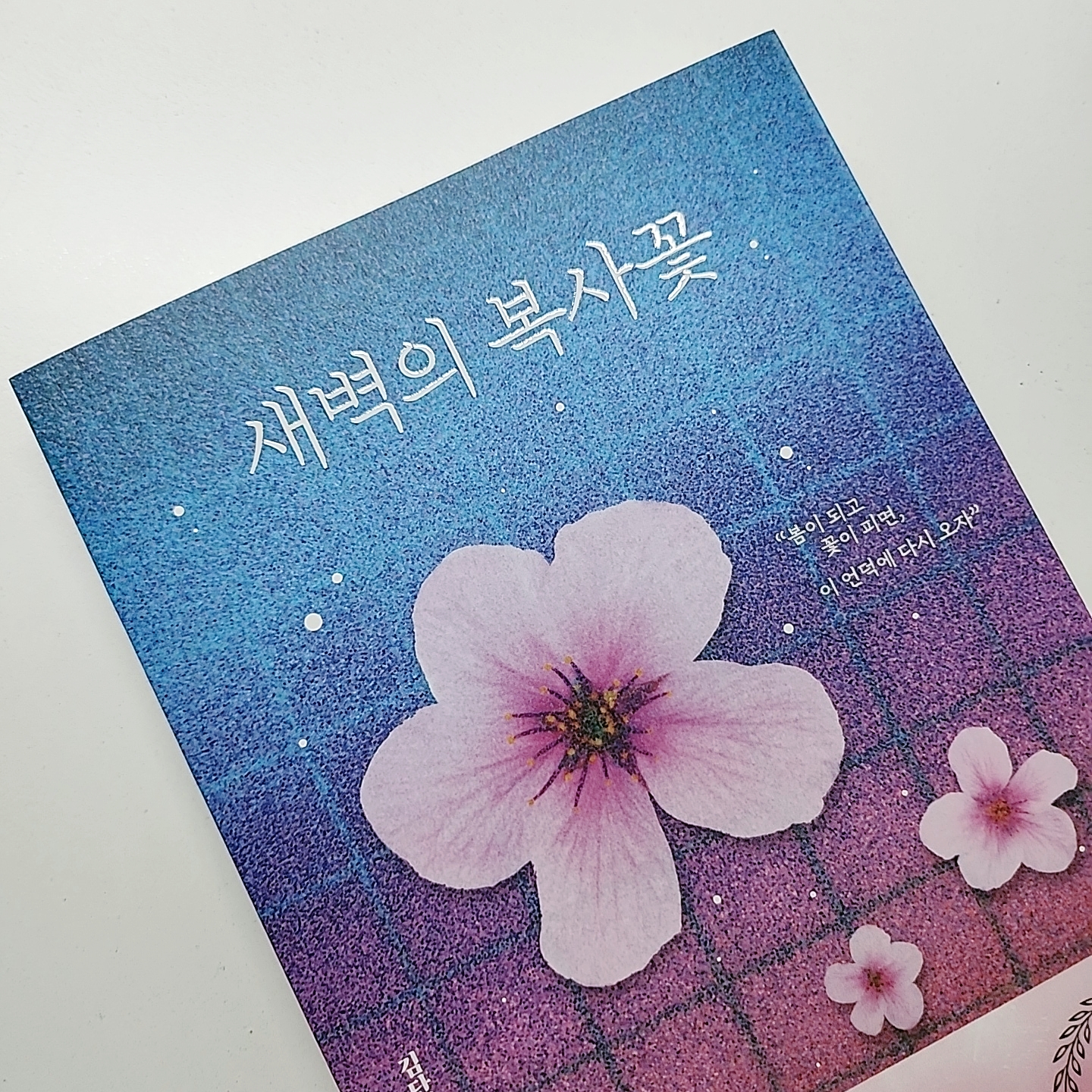 첨부된 사진