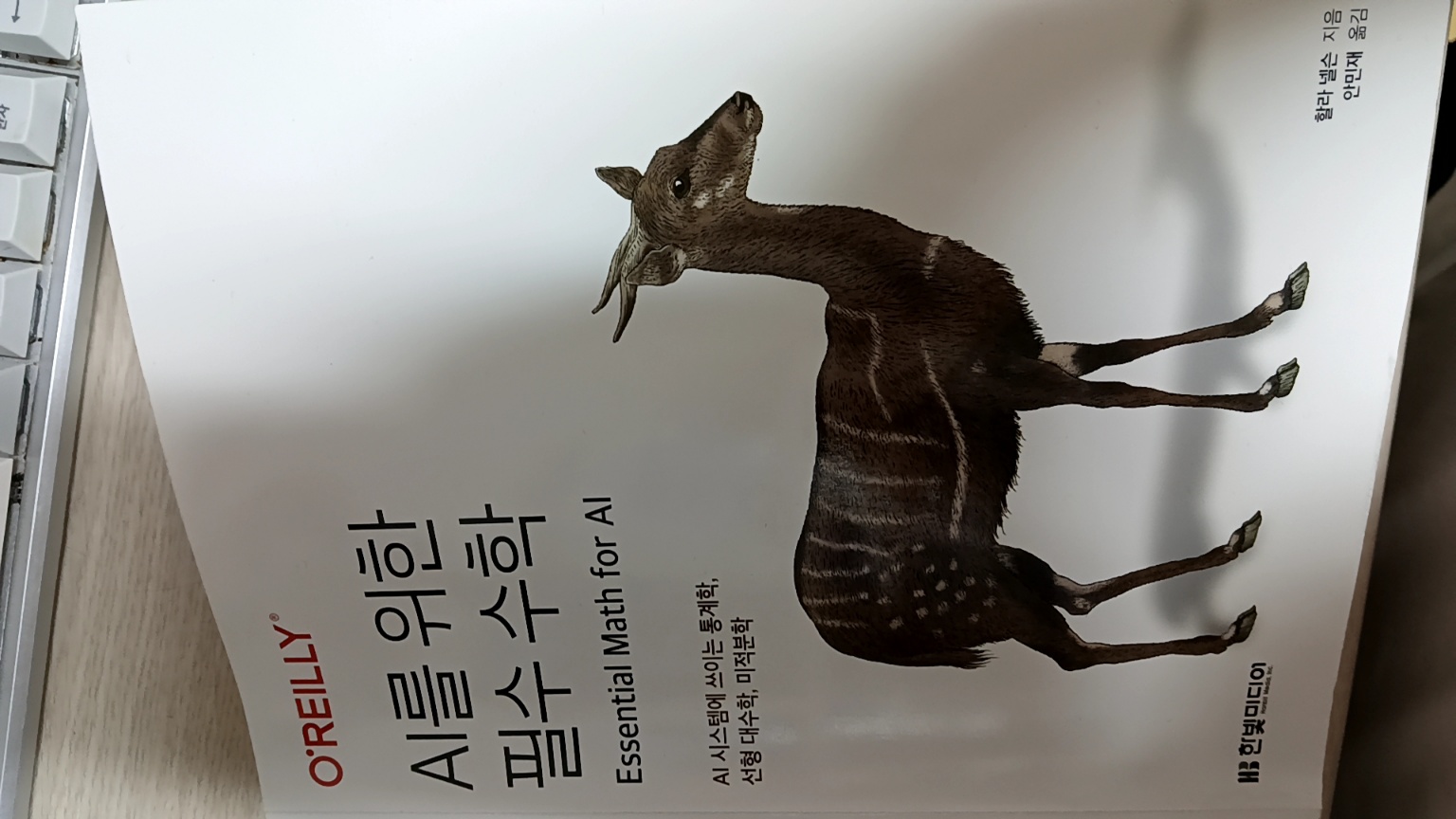 첨부된 사진