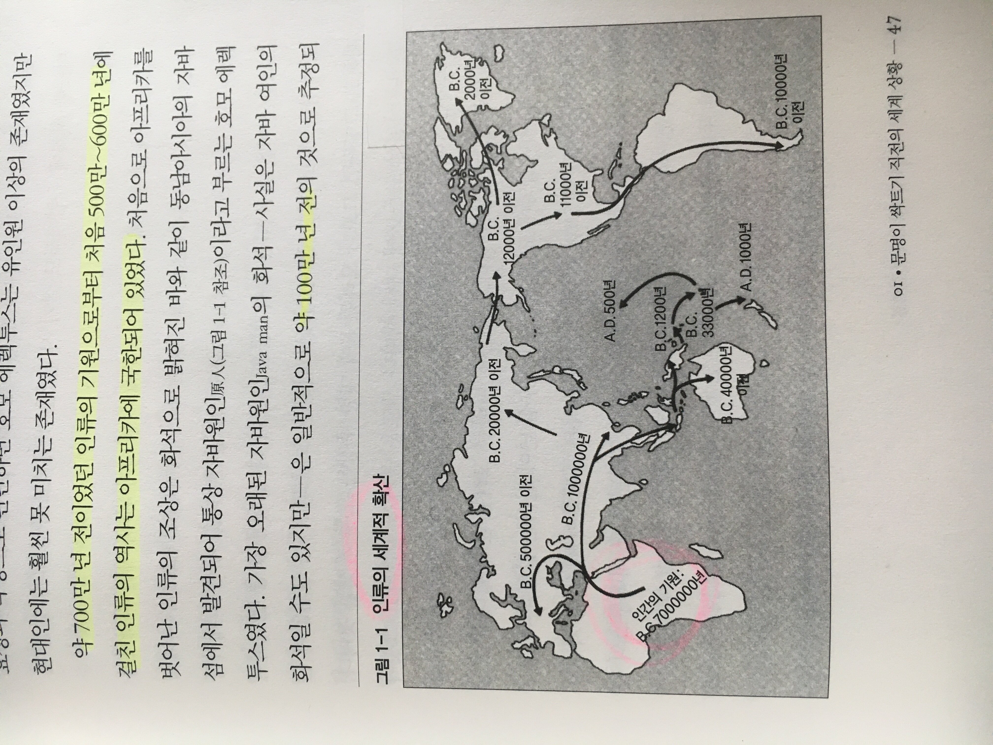 컨텐츠 이미지