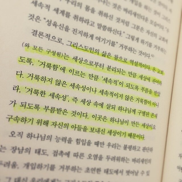 첨부된 사진