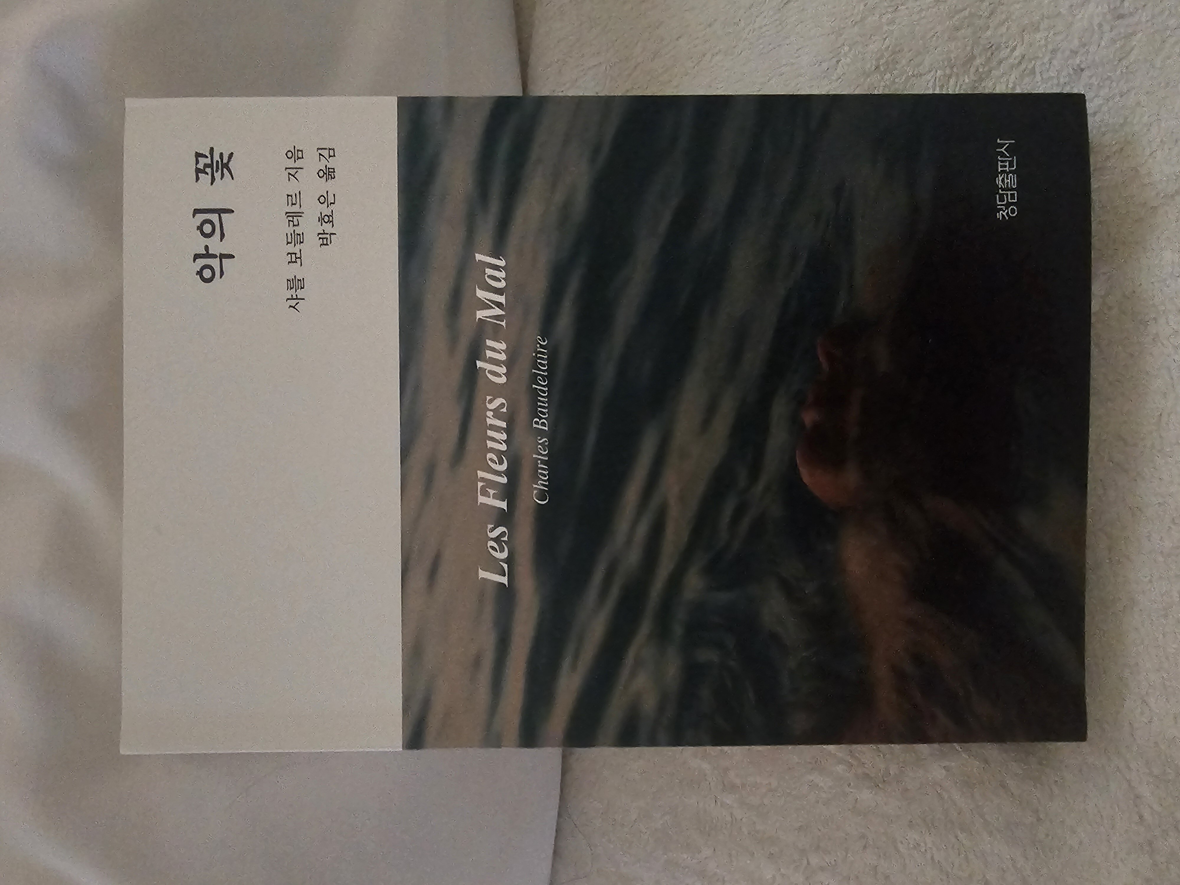 첨부된 사진