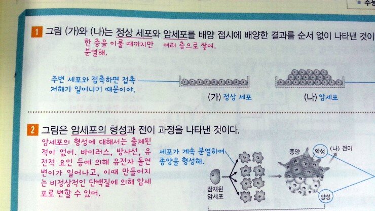 첨부된 사진